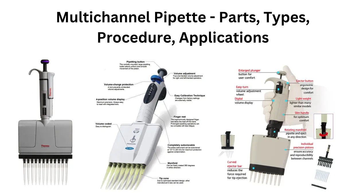 Multichannel Pipette - Parts, Types, Procedure, Applications