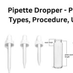 Pipette Dropper - Parts, Types, Procedure, Uses