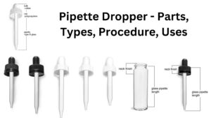 Pipette Dropper – Parts, Types, Procedure, Uses
