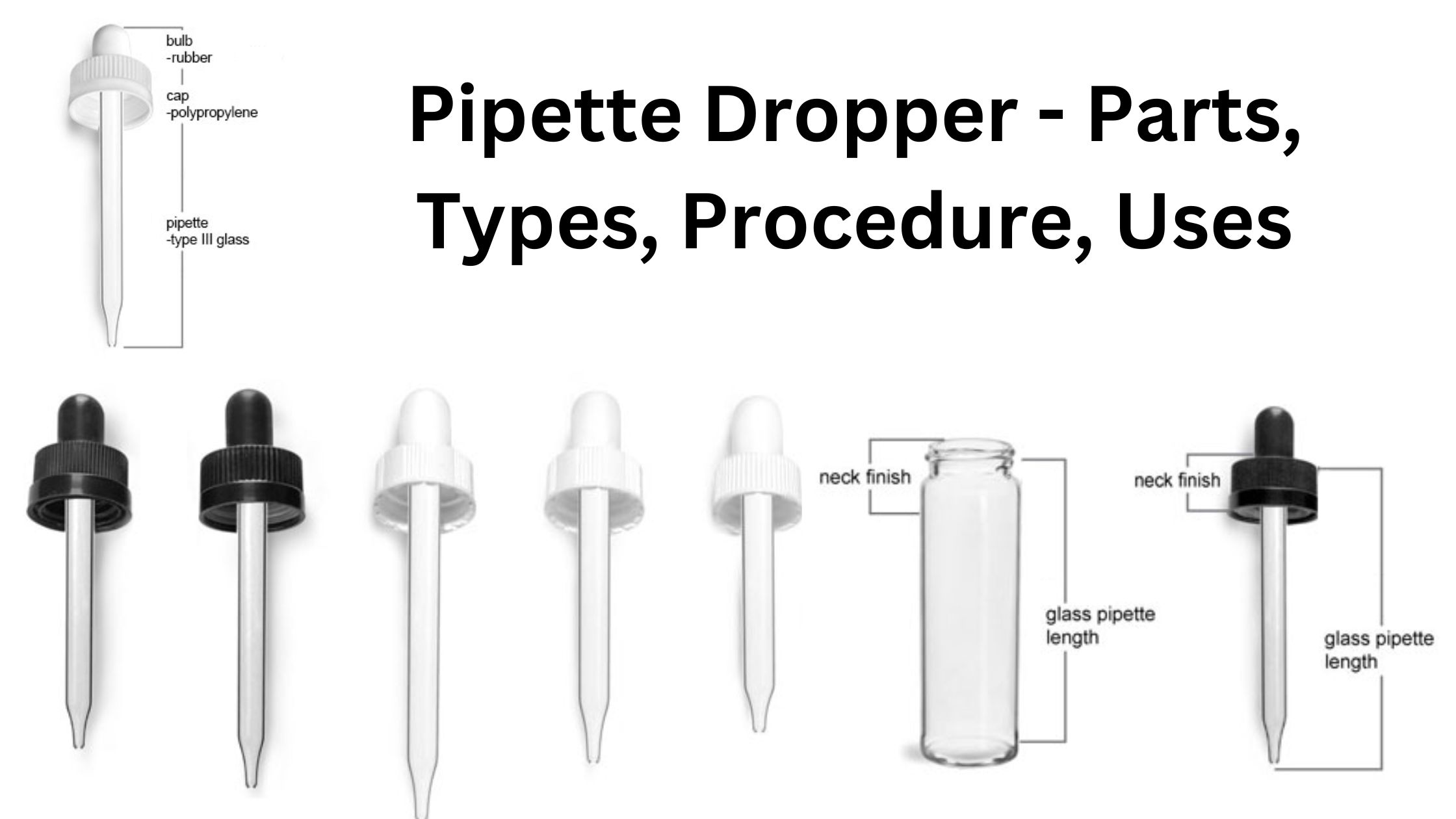 Pipette Dropper - Parts, Types, Procedure, Uses