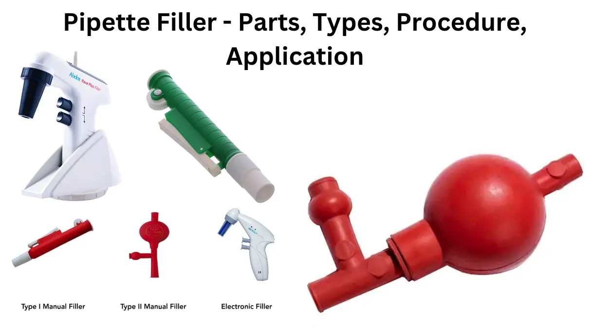 Pipette Filler - Parts, Types, Procedure, Application