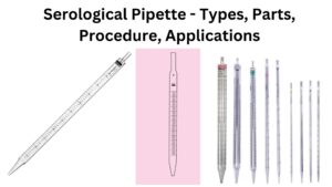 Serological Pipette – Types, Parts, Procedure, Applications