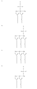 Exploring the molecular pathways and physiological importance of carbon, nitrogen, and phosphorus in dierent biological systems has highlighted their contributions to life’s fundamental processes. Carbon forms the framework of biological molecules, nitrogen is critical for proteins and nucleic acids, and phosphorus is essential for nucleic acids, membrane structure, and energy metabolism. Cellular membranes contain phospholipids which provide structure and specic physiological characteristics to support the molecular pathways of the cell. Which of the following models represents the correct arrangement of phosphorus within a phospholipid?