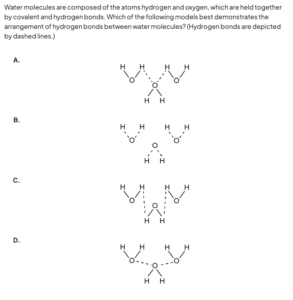 Water molecules are composed of the atoms hydrogen and oxygen, which are held together by covalent and hydrogen bonds. Which of the following models best demonstrates the arrangement of hydrogen bonds between water molecules? (Hydrogen bonds are depicted by dashed lines.)