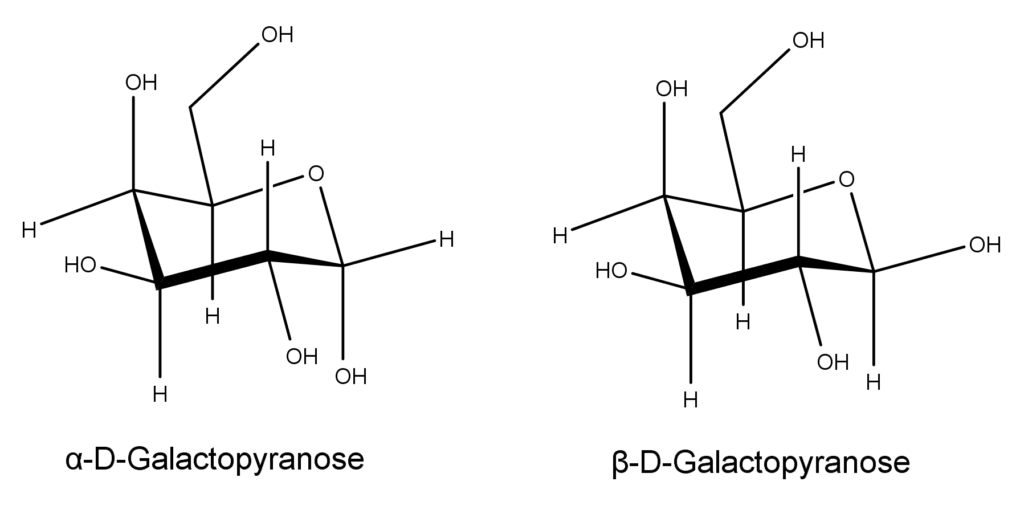 Chair conformation of D-galactopyranose

