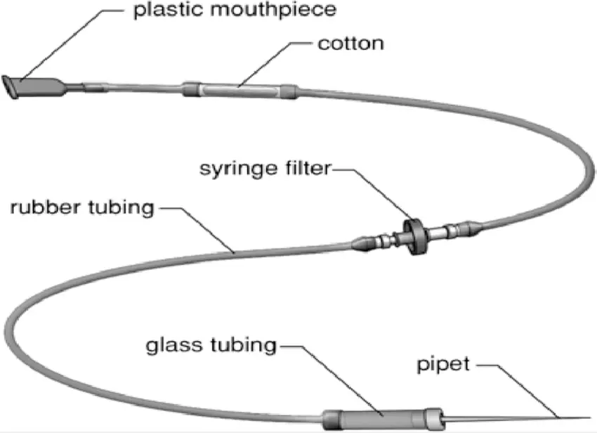 A micro-capilary pipette with mouthpiece and 0.2 mm hydrophobic filter and moisture capture, used for embryo manipulation