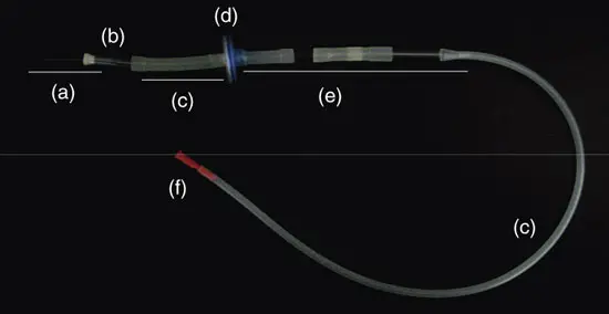 Parts of a Mouth Pipette