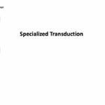 Specialized Transduction Steps