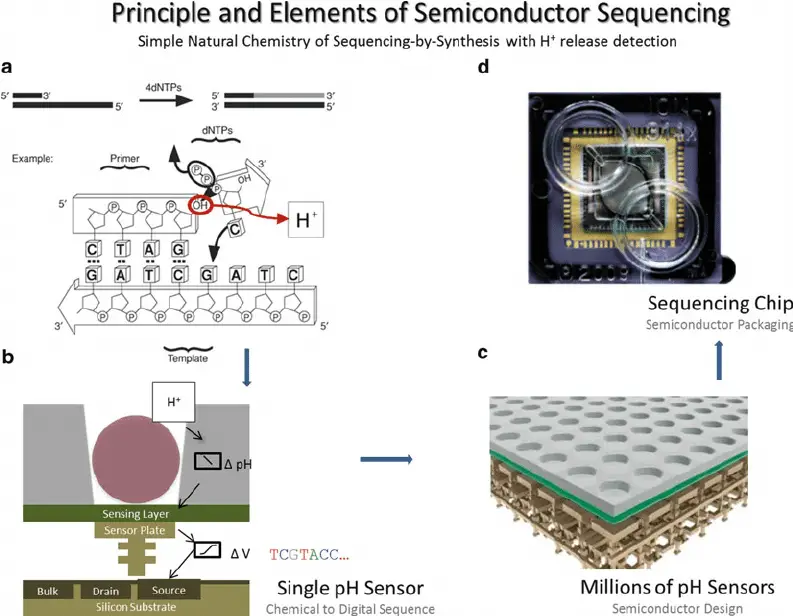 Principles and elements of semiconductor sequencing