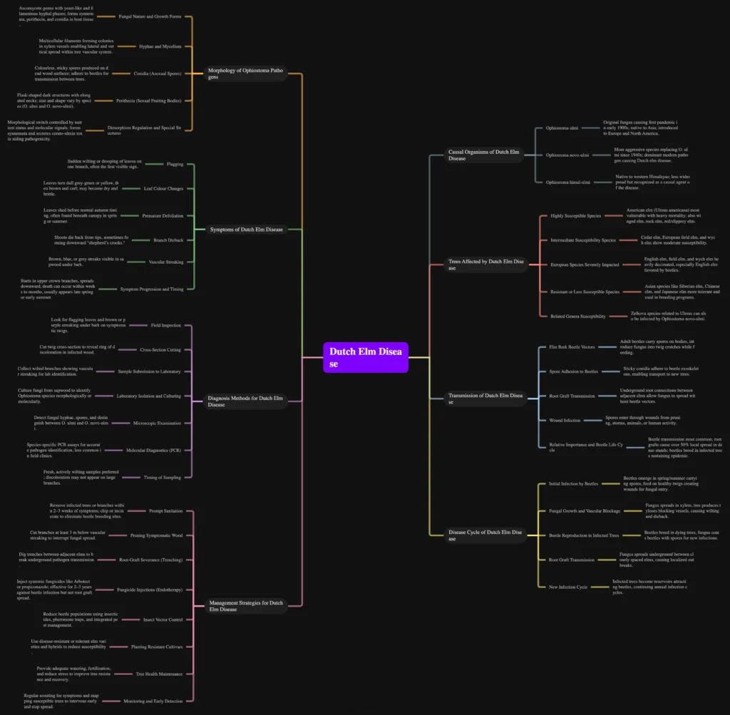 Dutch elm disease (DED) - Cause, Lifecycle, Spread, Management 3 Dutch elm disease Mind Map/Cheatsheet