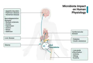 Human Skin Microbiome – Normal Flora of Skin, Hair, and Nail