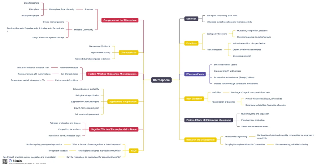 Rhizosphere - Definition, Bacteria, Structure, Importance 8 Rhizosphere Mind Map/ Cheatsheet