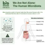 We Are Not Alone_ The Human Microbiota