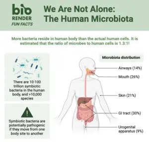 Human Microbiome and Normal Flora of Human Body