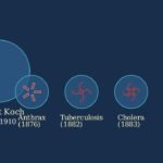 The Pioneering Microbiologists Who Transformed Our Understanding of Disease