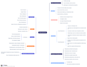 Chlamydomonas Mind Map