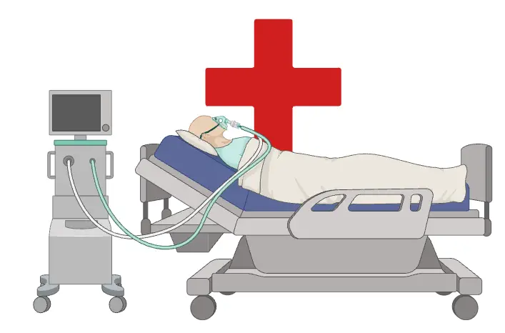Medical Microbiology