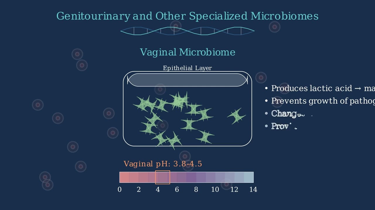Human Microbiome and Normal Flora of Human Body