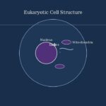 The Domains of Life Explained