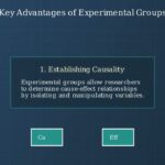 Experimental Groups in Science