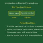 The Binomial Naming System