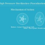 Physical Sterilization Methods Explained