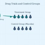 What is a control group?