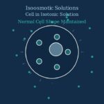 Osmotic Pressure Explained