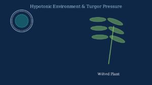 youtube thumb fPmMXTydamw