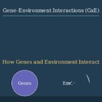 Understanding Phenotypes: Genes, Environment, and Observable Traits