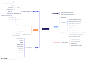 Cysticercosis Mind Map
