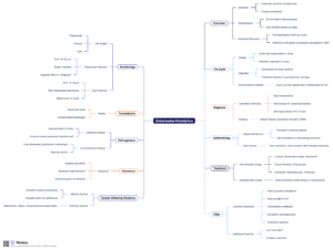 Entamoeba Histolytica Mind Map