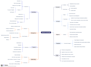 Giardia intestinalis Mind Map