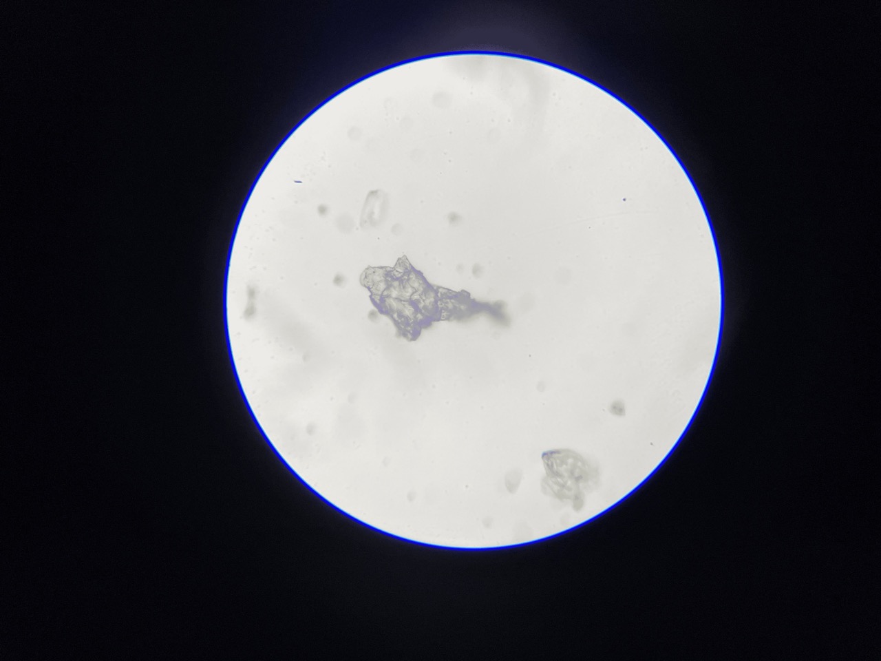 Human Sweat Under Microscope-400x Large