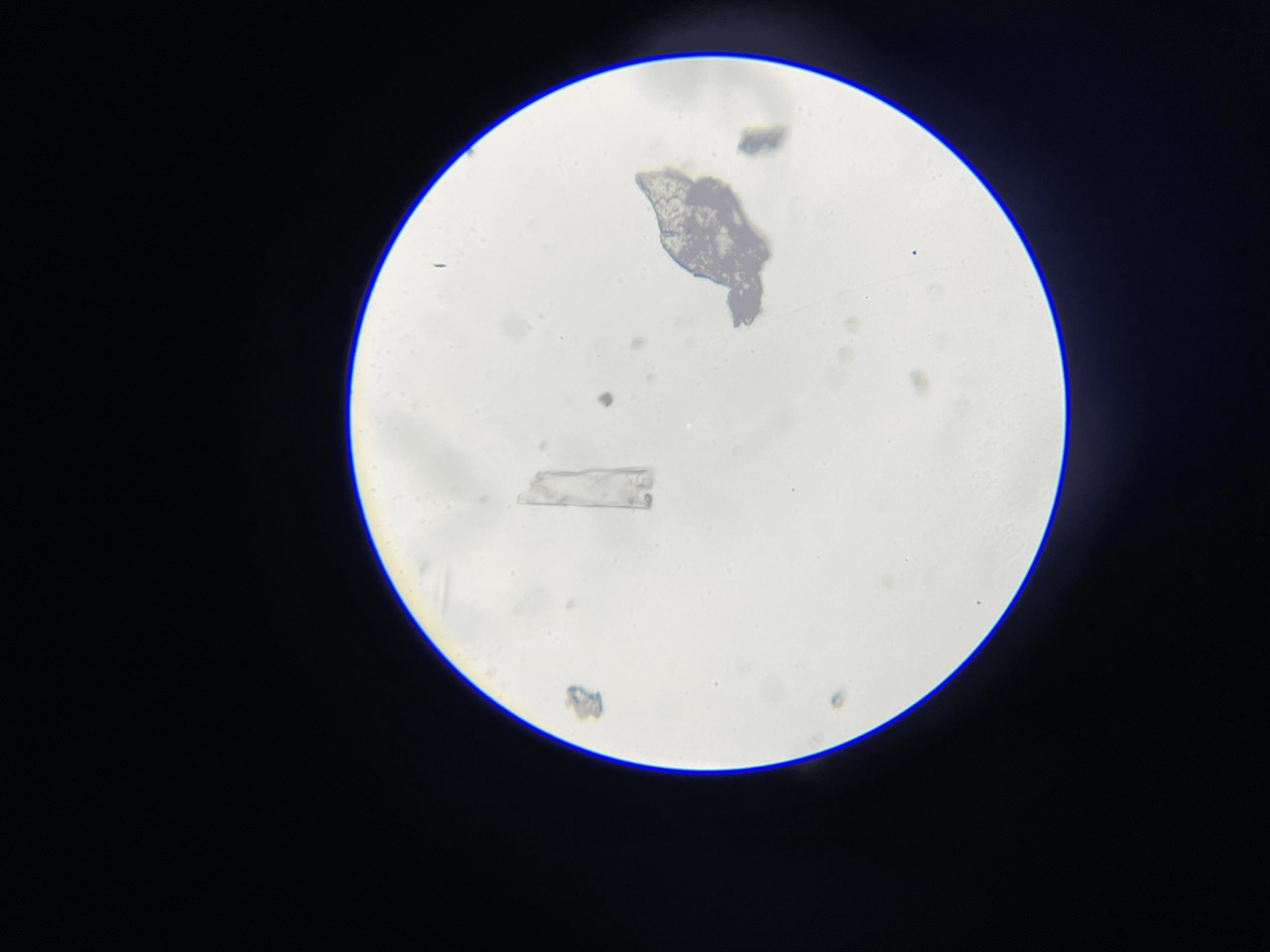 Human Sweat Under Microscope - 400x Large