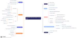 Strongyloides stercoralis (Parasitic Roundworm) Mind Map