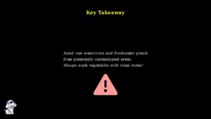 youtube thumb V8xiVnr4hGc