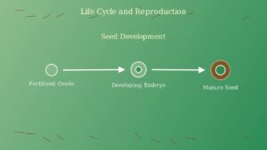 youtube thumb qEp9bItVZzU