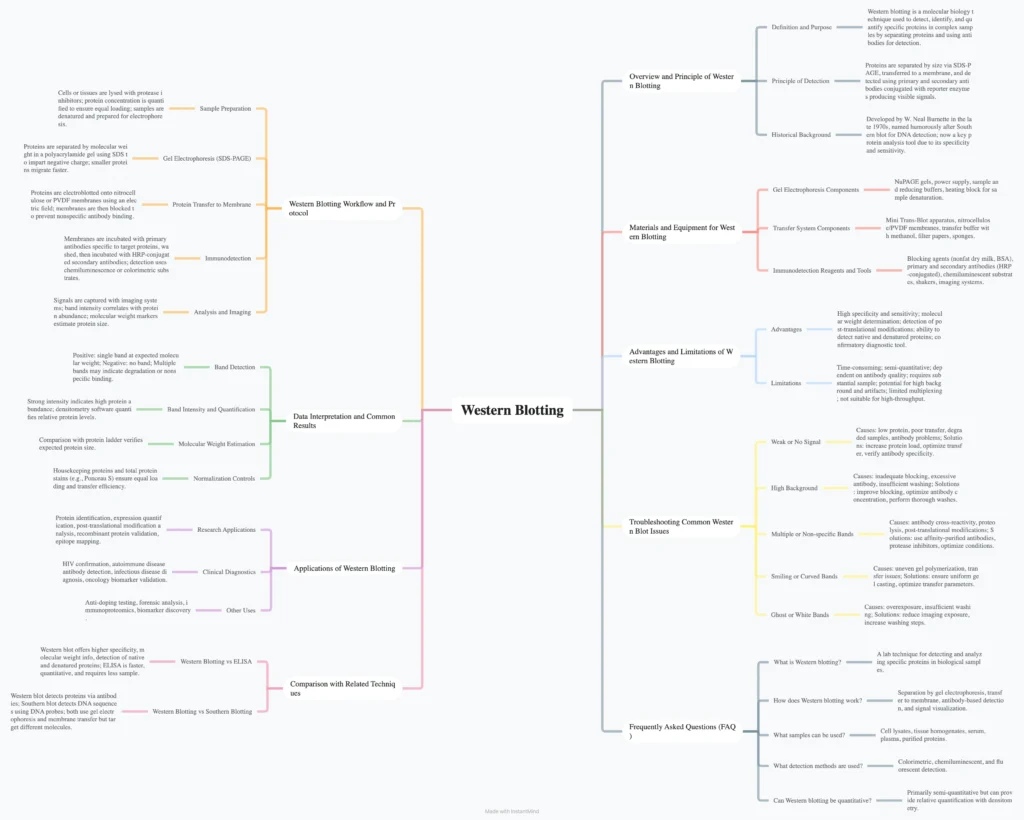 Western Blot - Steps, Principle, Result, Applications 12 Western Blot Summary Mind map Download