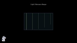 youtube thumb 6GuCTMMAwJ0