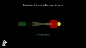 youtube thumb 8XWf2cKDMh0