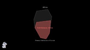 youtube thumb 9w8wY5gniAE