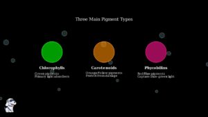 youtube thumb I1Vwx51tITc