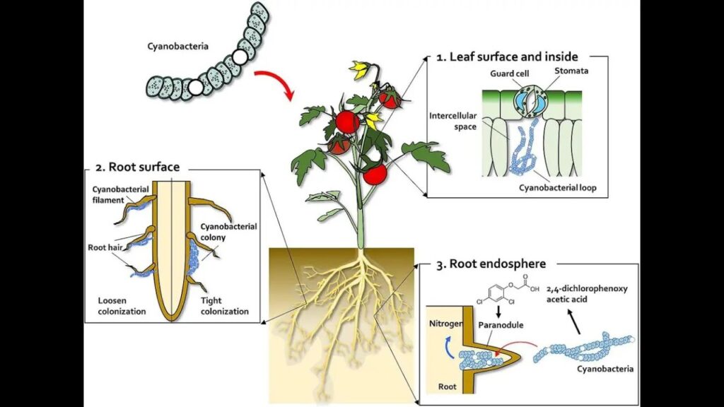 youtube thumb KZNPFU9hmDQ