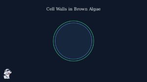 youtube thumb SZ P3Qv2B o