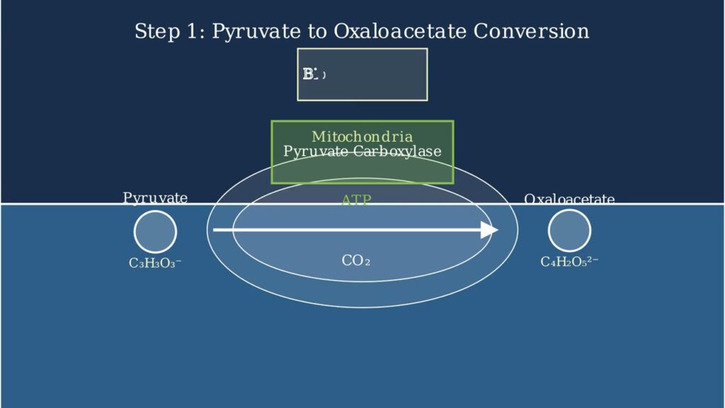 youtube thumb ULcE78FELtw