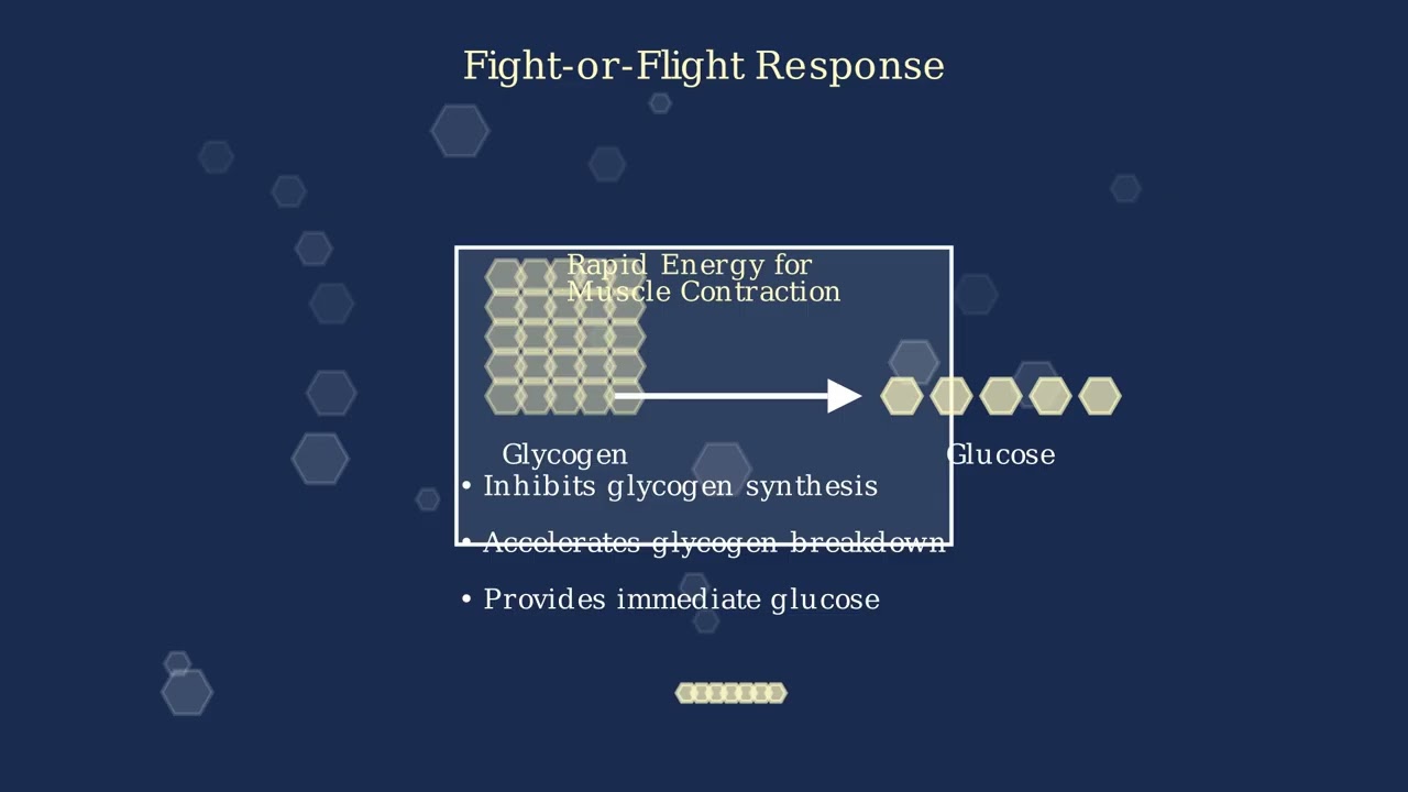 Glycogenesis Explained: The Glucose to Glycogen Conversion 10 youtube thumb XU8lm9lgRVY