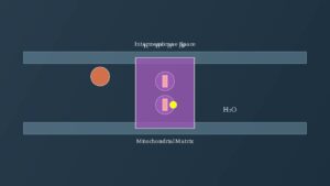 youtube thumb nK4gBc8X Qk