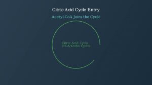 youtube thumb usiXfCHyLI0