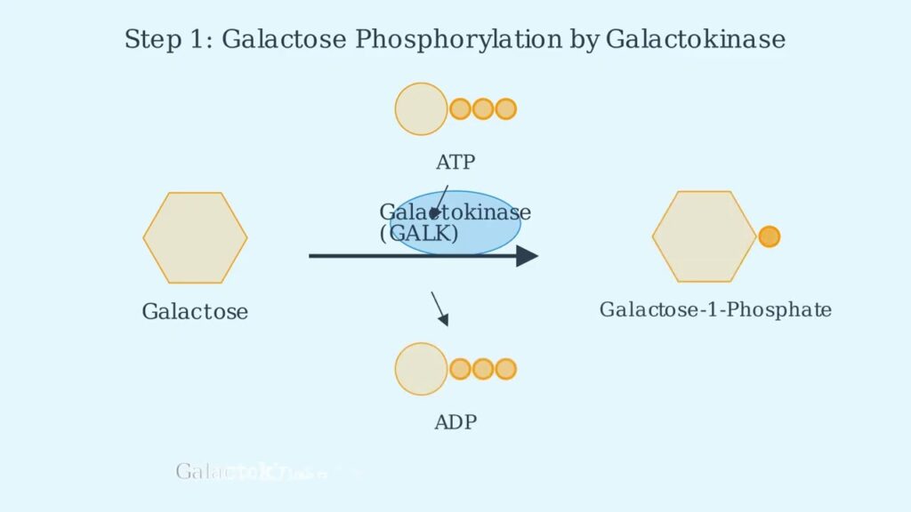 youtube thumb xC2mbFuK4Fc
